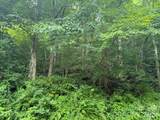 TBD Meadow Fork Road - Photo 7