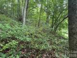 TBD Meadow Fork Road - Photo 9