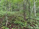 TBD Meadow Fork Road - Photo 10