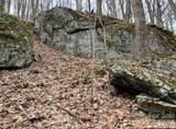 110 Cabin Ridge - Photo 5