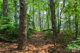 3815 Bat Cave Road - Photo 38
