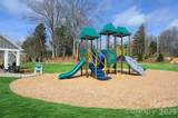 14034 Marlin Lane - Photo 5