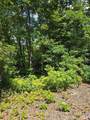 0000 Nancy Mountain Road - Photo 11