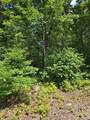 0000 Nancy Mountain Road - Photo 15