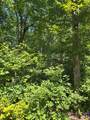 0000 Nancy Mountain Road - Photo 16