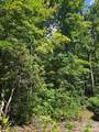 0000 Nancy Mountain Road - Photo 17