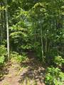 0000 Nancy Mountain Road - Photo 19
