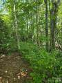 0000 Nancy Mountain Road - Photo 20