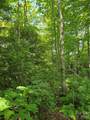 0000 Nancy Mountain Road - Photo 21