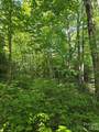 0000 Nancy Mountain Road - Photo 22
