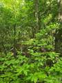0000 Nancy Mountain Road - Photo 24
