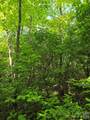 0000 Nancy Mountain Road - Photo 25