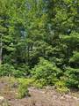 0000 Nancy Mountain Road - Photo 35