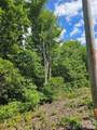 0000 Nancy Mountain Road - Photo 10