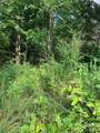 0 Rock House Road - Photo 4