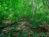 0000 Deep Gap Road - Photo 11