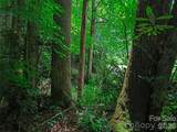 0000 Deep Gap Road - Photo 13