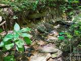 0000 Deep Gap Road - Photo 15
