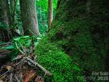0000 Deep Gap Road - Photo 6