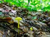 0000 Deep Gap Road - Photo 7