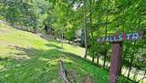 294 Red Knob Lane - Photo 43