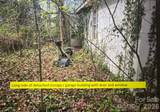 3246 Texs Fish Camp Road - Photo 2