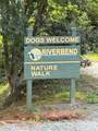0 Raven Boulevard - Photo 6