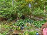 30 Kalmia Cove - Photo 5