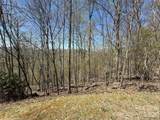 24 Elk Mountain Loop - Photo 1