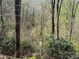 24 Elk Mountain Loop - Photo 11