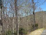 24 Elk Mountain Loop - Photo 9