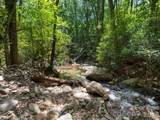 352 Celo Cove Drive - Photo 44