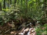 352 Celo Cove Drive - Photo 45