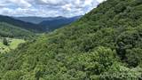 TBD Paint Fork Road - Photo 11