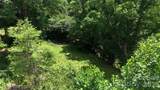 TBD Paint Fork Road - Photo 14