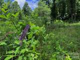 TBD Paint Fork Road - Photo 20