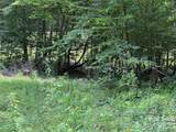 TBD Paint Fork Road - Photo 22
