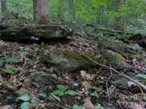 TBD Paint Fork Road - Photo 25