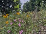 TBD Paint Fork Road - Photo 8