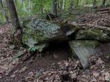 TBD Paint Fork Road - Photo 10
