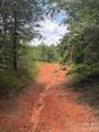 TBD Sam Walker Road - Photo 2