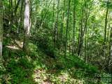 8 White Birch Court - Photo 11