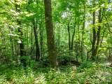 8 White Birch Court - Photo 12