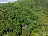 8 White Birch Court - Photo 16