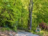 8 White Birch Court - Photo 23
