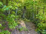 8 White Birch Court - Photo 24