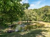 8 White Birch Court - Photo 29