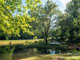 8 White Birch Court - Photo 31