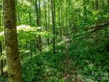 8 White Birch Court - Photo 10
