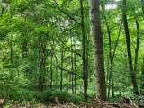 0000 Jacks Knob Road - Photo 1